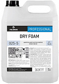 Шампунь Dry Foam PRO-BRITE